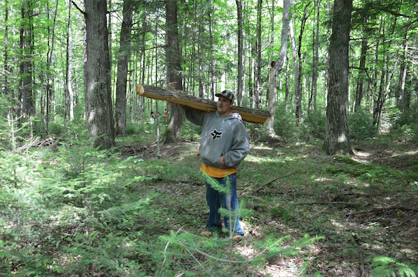 carry a split cedar log to bring out of forest